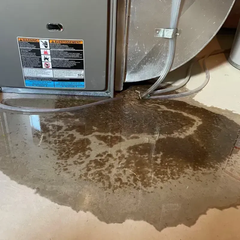 Appliance Leak Cleanup in Nederland, TX